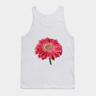 Pink Gerbera Tank Top